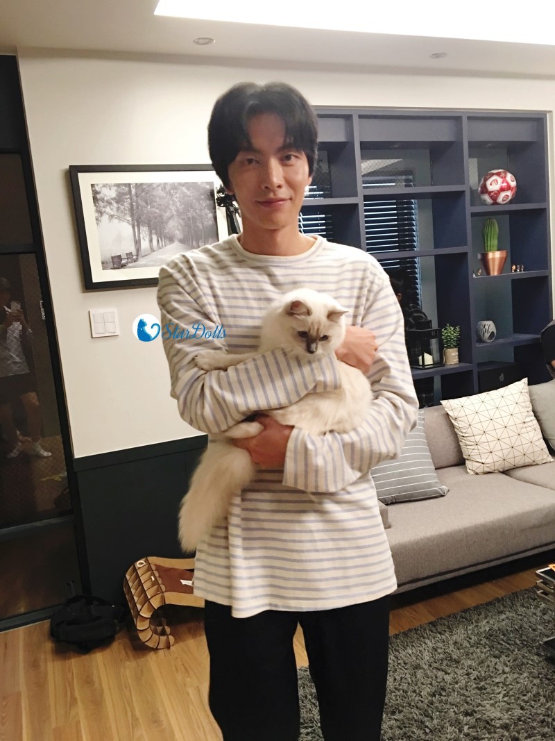 연예인들이 고양이(품종묘) 분양받는 걸로 유명한 펫샵.jpg | 인스티즈