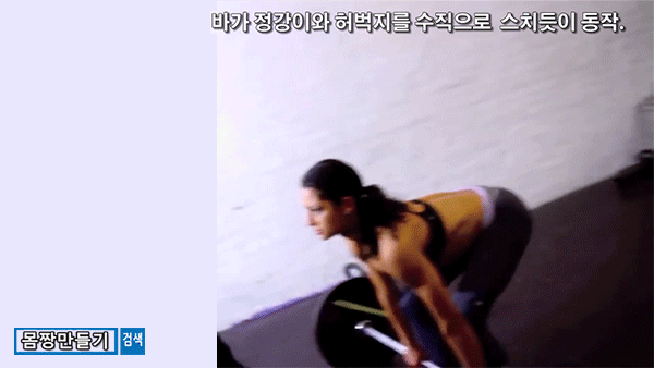 데드리프트(Deadlift)의 종류 - 1편 (컨벤셔널, 루마니안, 스티프 레그, 스모) | 인스티즈
