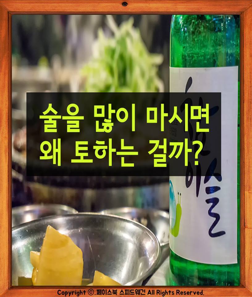 술을 많이 마시면 토하는 이유 jpg | 인스티즈