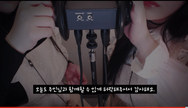 컨셉이 너무 노골적이라 호불호 갈리는 ASMR 유튜버.jpg | 인스티즈