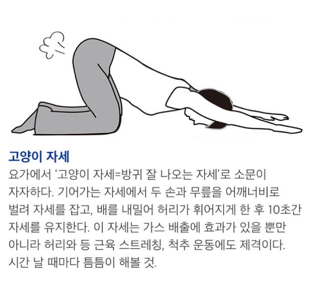 가스 찼을때 방귀 한방에 배출하는 자세.jpg | 인스티즈