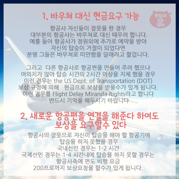 항공사가 숨기는 탑승객의 권리 10가지 | 인스티즈