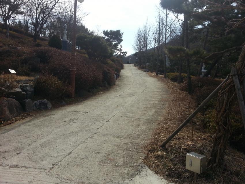 어떤 한 레드벨벳 팬의 슬기의 뿌리를 찾기 위한 여정 | 인스티즈