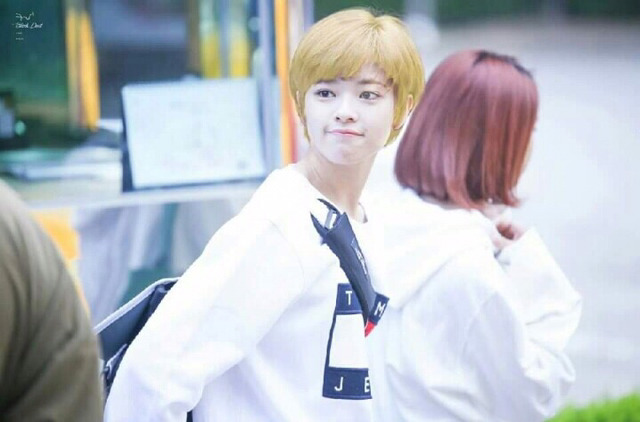 딸부잣집 셋째딸은 얼굴도 안 보고 데려온다 | 인스티즈