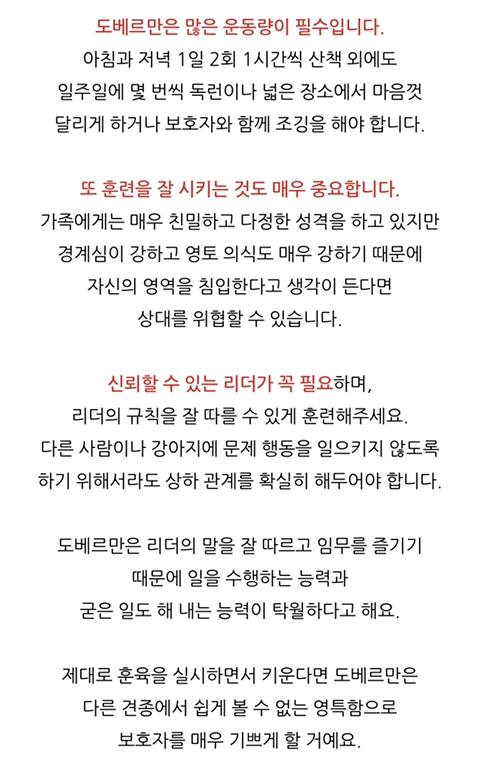 블랙핑크 리사가 돈 주고 '구매'한 동물들 | 인스티즈