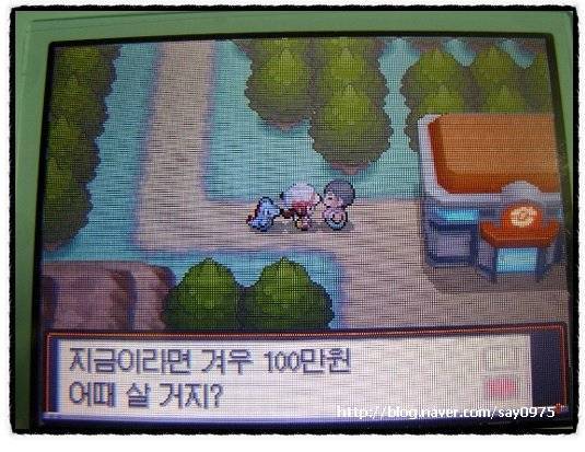 포켓몬스터 야돈의 비밀 | 인스티즈