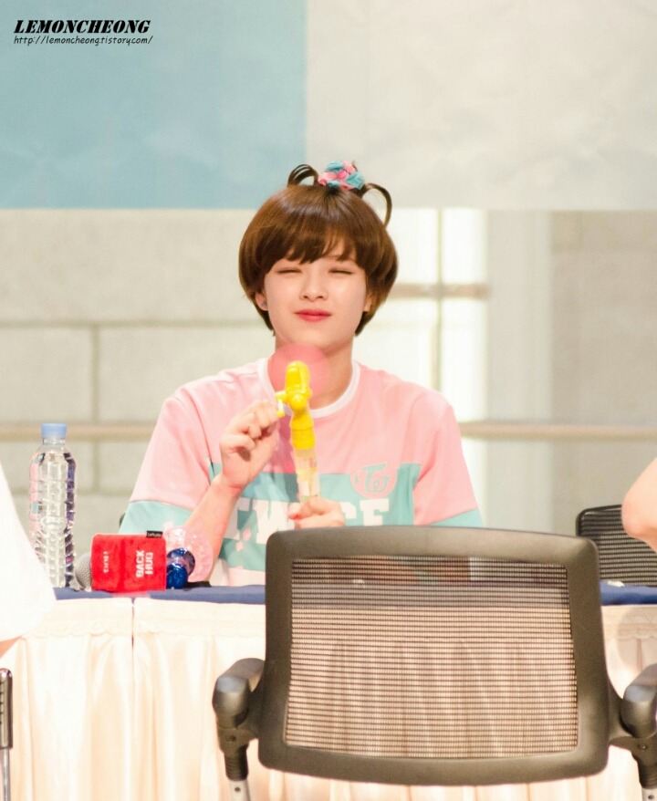 [트와이스] 정연이 숏컷중 제일 예쁜머리 | 인스티즈