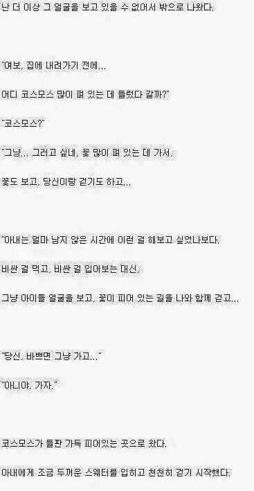 모 라디오에서 채택된 슬픈사연 | 인스티즈
