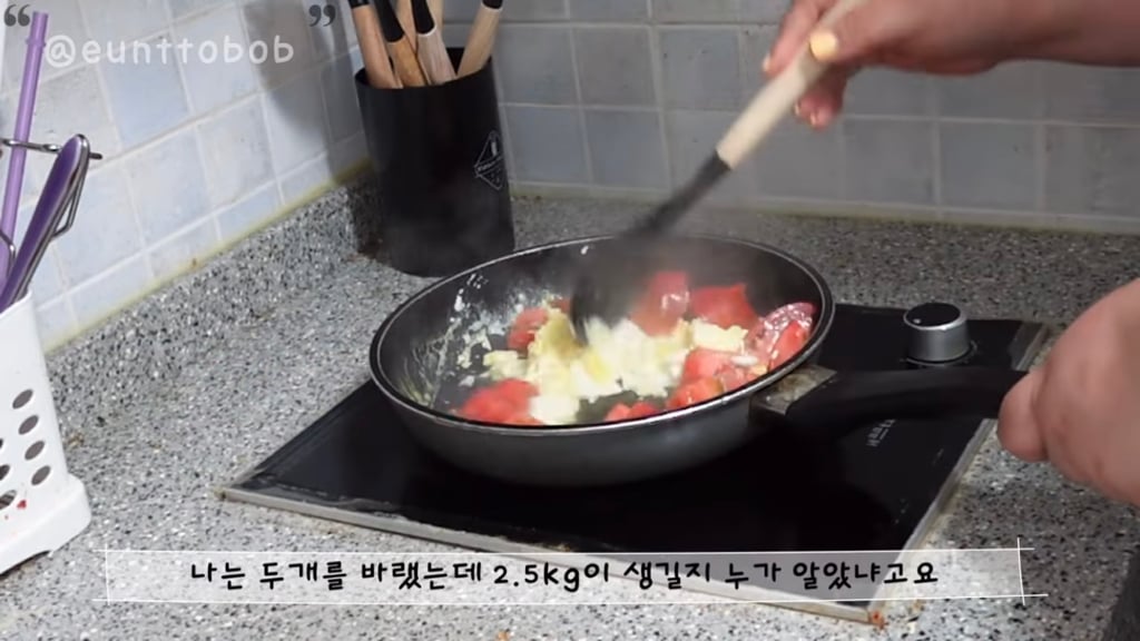 현재 기혼감성으로 난리난 홍시 대신할 유튜브 추천 | 인스티즈