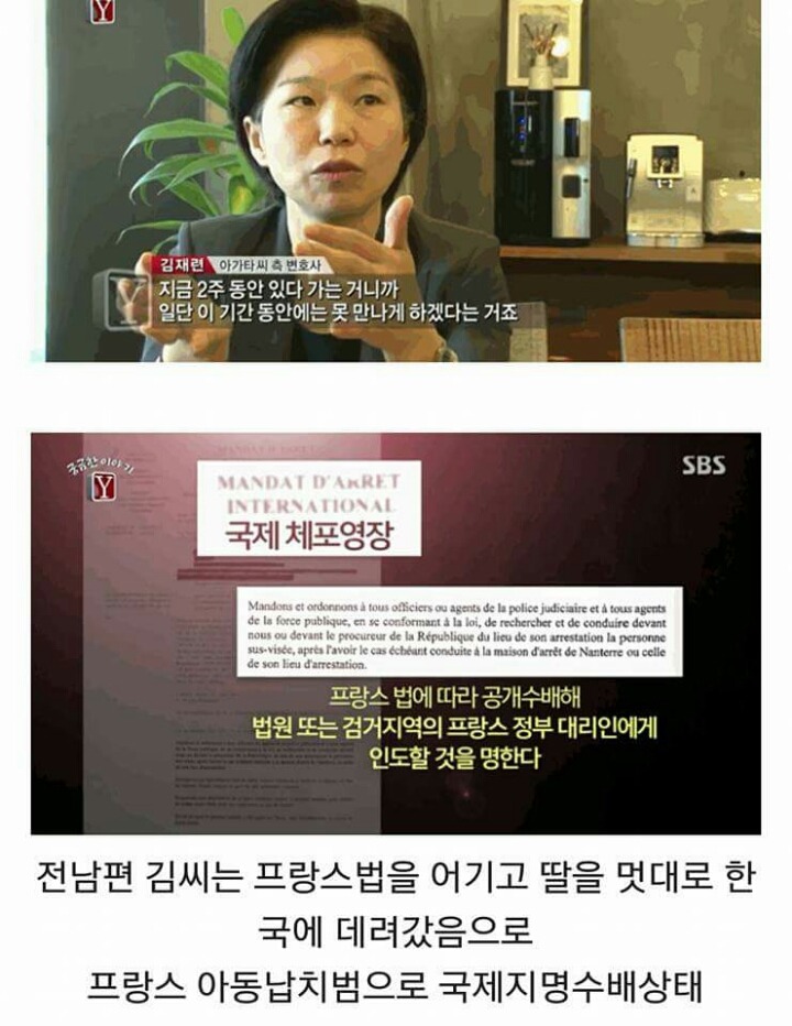 프랑스 아동 납치법으로 국제 수배 지명 상태에 놓인 김씨 (슬픔주의) | 인스티즈