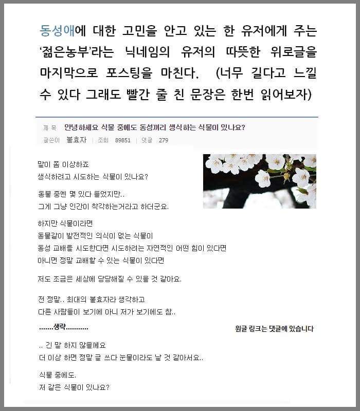 다시보는 식물갤의 명언 | 인스티즈
