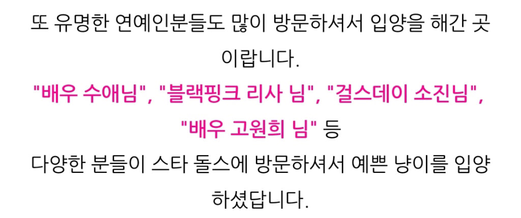 연예인들이 고양이(품종묘) 분양받는 걸로 유명한 펫샵.jpg | 인스티즈