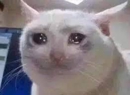 쩌리 업로더 간접체험 해보는 달글 | 인스티즈