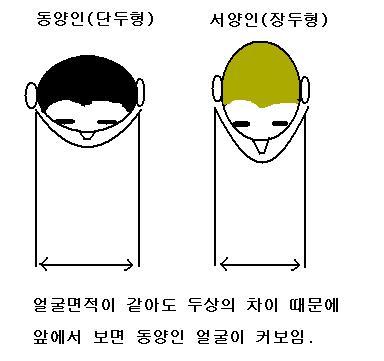 동양인이 서양인보다 얼굴이 커 보이는 이유 .jpg | 인스티즈