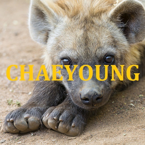 트와이스 지효가 말하는 멤버별 닮은 동물.jpg | 인스티즈