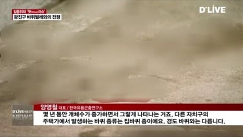 서울 광진구 바퀴벌레 근황 | 인스티즈