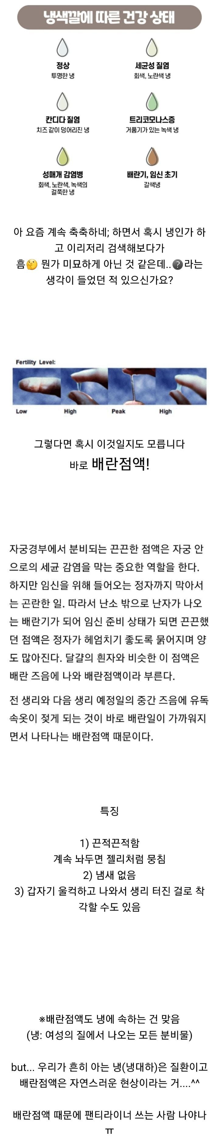 냉 아닌데 사람들이 은근 많이 냉으로 착각하는 것 | 인스티즈
