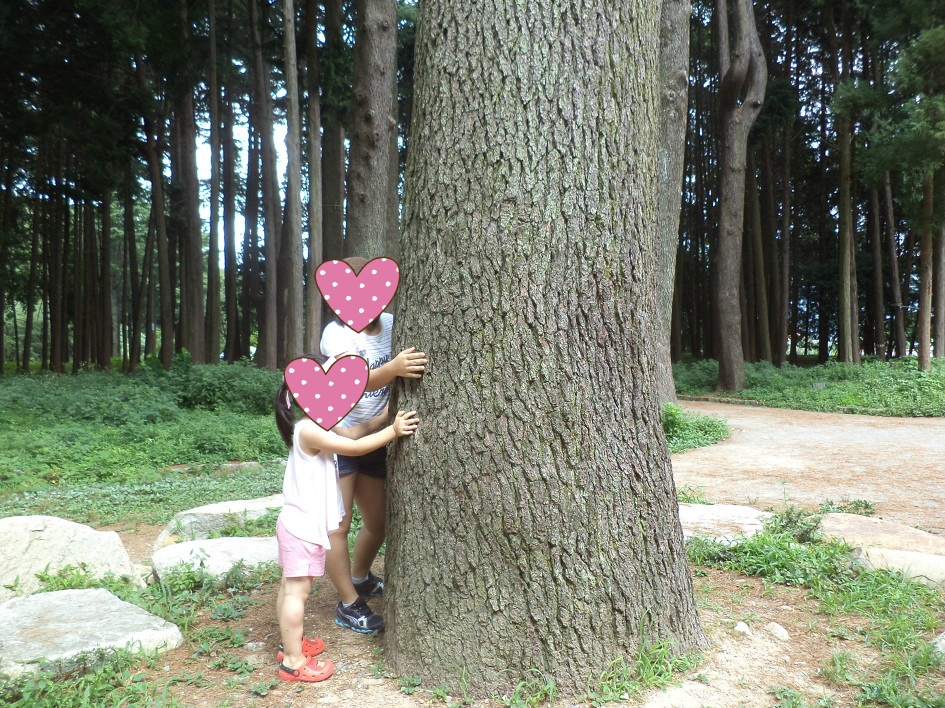 다리 진짜 얇은 연예인들.jpg | 인스티즈