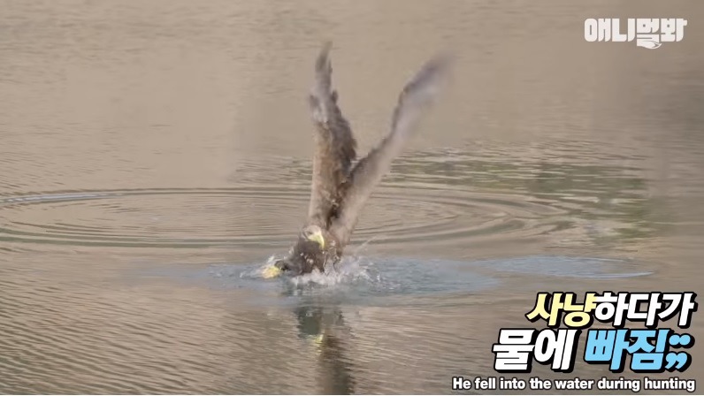 근육이 왜 거기서 나와...? | 인스티즈