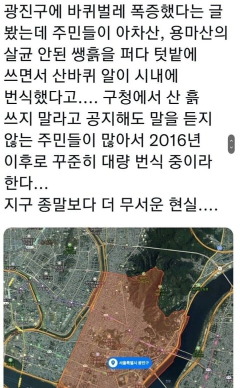 서울 광진구 바퀴벌레 근황 | 인스티즈