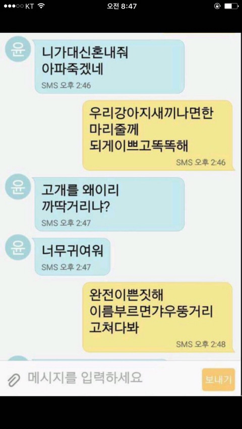 강아지사진보내제발.jpg | 인스티즈