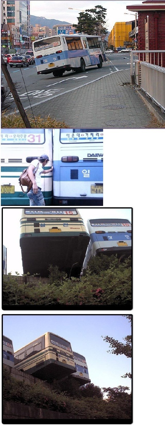 부산버스의 위엄 | 인스티즈