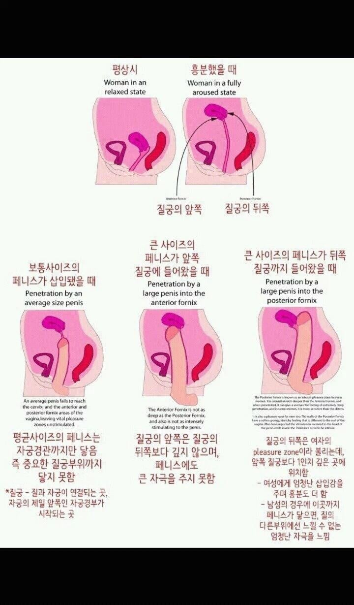 남자의 성기가 크면 클수록 좋은 과학적 이유.jpg | 인스티즈