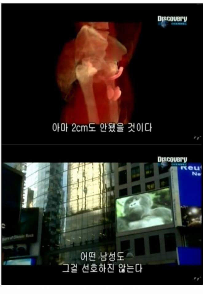 남성의 성기가 크고 굵은 이유 | 인스티즈