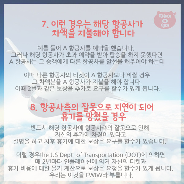 항공사가 숨기는 탑승객의 권리 10가지 | 인스티즈
