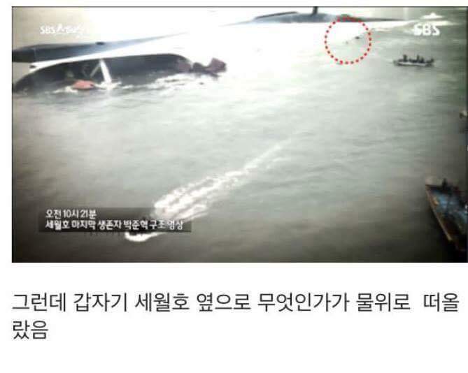 세월호 마지막 생존자 증언.... (슬픔) | 인스티즈