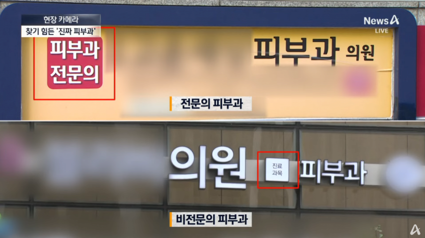 치료보다 미용 시술...사라진 진짜 피부과 | 인스티즈