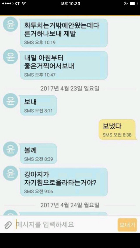 강아지사진보내제발.jpg | 인스티즈