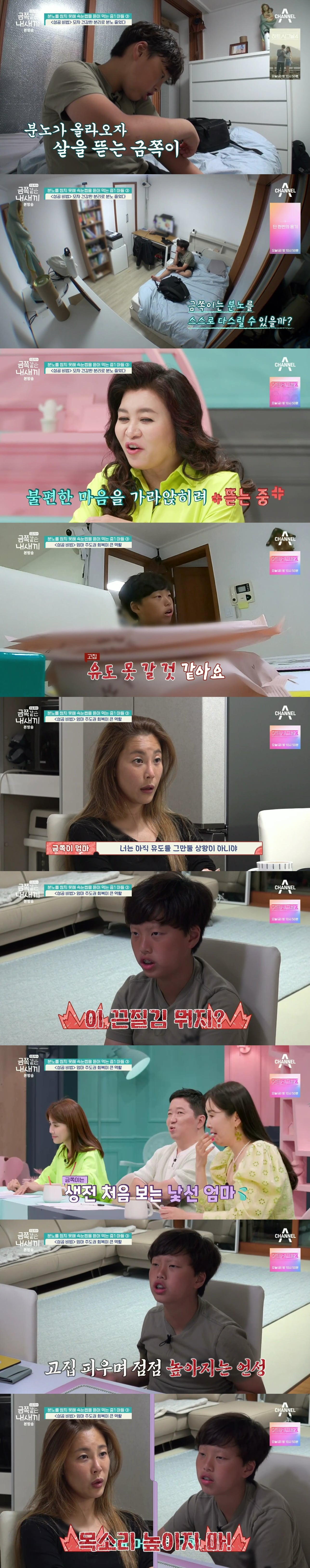 절대로 개선되지 못할거라는 반응 많았던 역대급 금쪽이의 놀라운 변화.jpg | 인스티즈