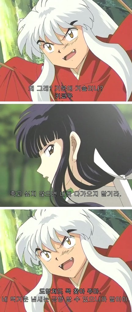 이누야샤와 금강이 서로 사랑할 수 밖에 없었던 이유 | 인스티즈