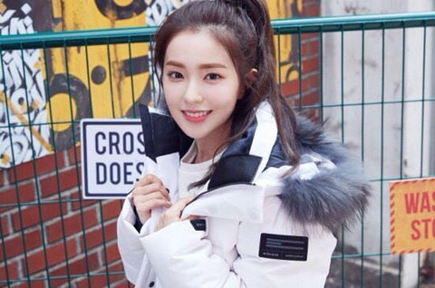 레드벨벳 아이린,아웃도어 브랜드 아이더 모델 발탁;박보검과 케미커플 재회 | 인스티즈