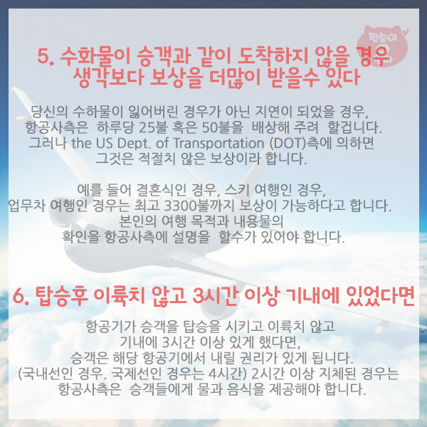 항공사가 숨기는 탑승객의 권리 10가지 | 인스티즈