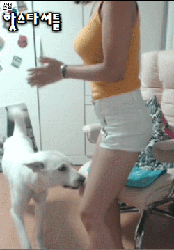 BJ 홍비.gif | 인스티즈