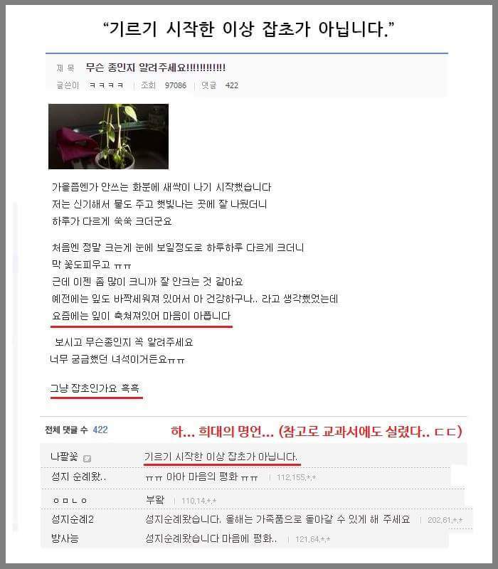 다시보는 식물갤의 명언 | 인스티즈