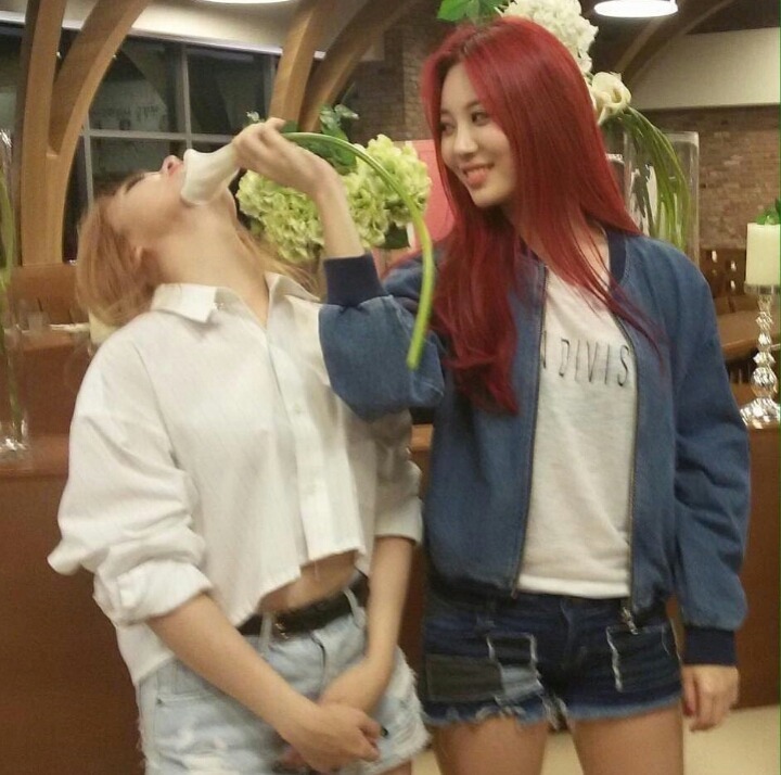 걸스데이 전용 빵난감, 빵애기 | 인스티즈