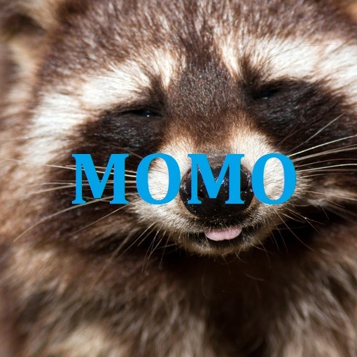 트와이스 지효가 말하는 멤버별 닮은 동물.jpg | 인스티즈