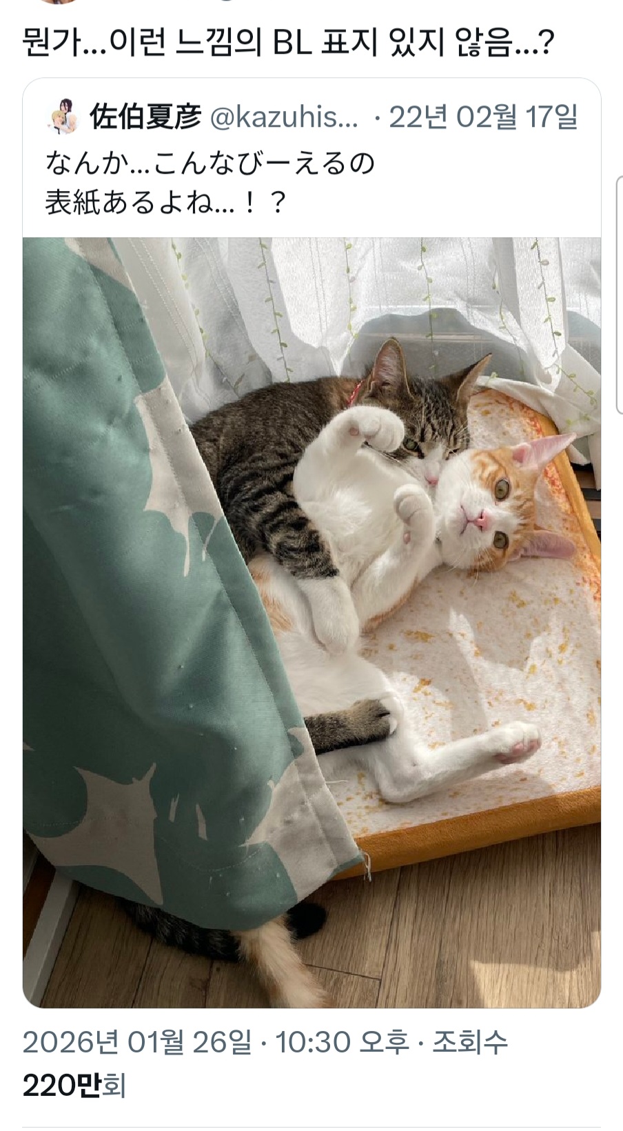 뭔가...이런 느낌의 BL 표지 있지 않음...? | 인스티즈