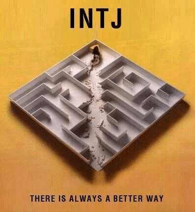 INTJ들만 존재하는 나라 이야기 | 인스티즈