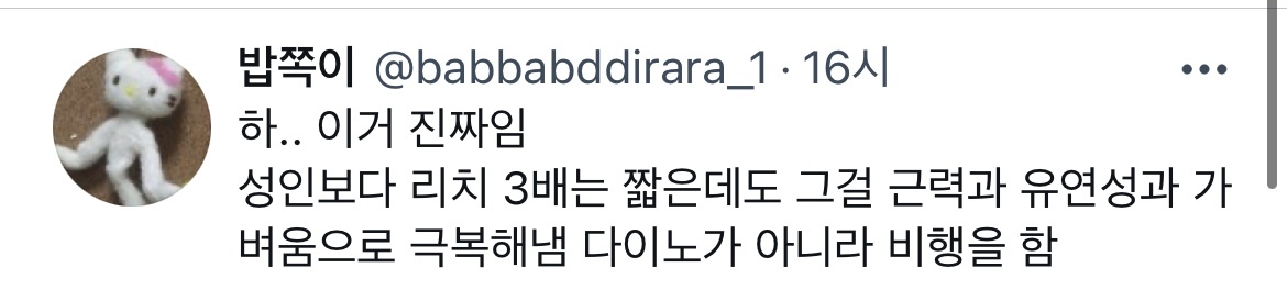 암벽장의 초등학생, 폴댄스 하는 초등학생 특징.twt | 인스티즈