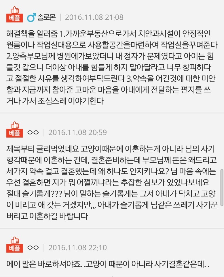 [판] 고양이 때문에 이혼 위기입니다 T.T | 인스티즈