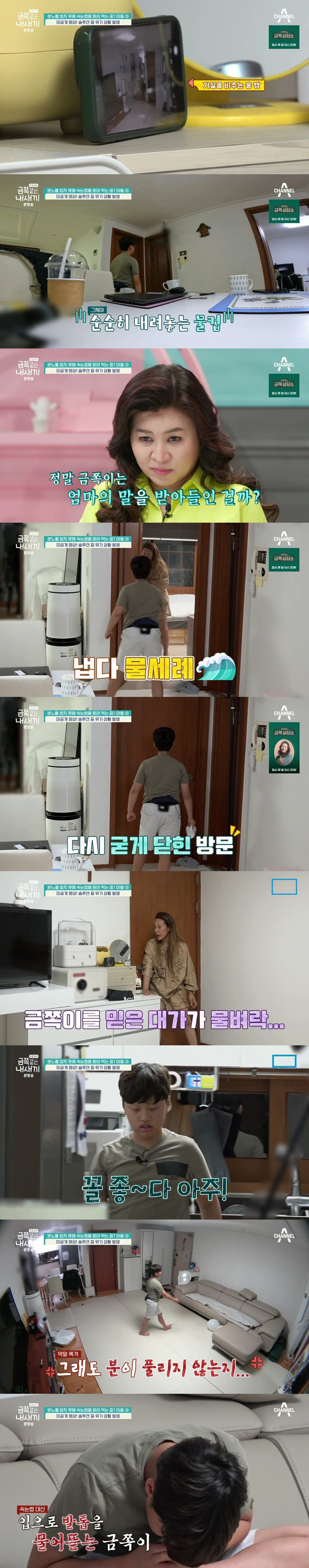 절대로 개선되지 못할거라는 반응 많았던 역대급 금쪽이의 놀라운 변화.jpg | 인스티즈