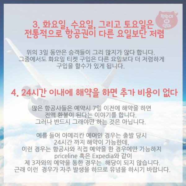 항공사가 숨기는 탑승객의 권리 10가지 | 인스티즈