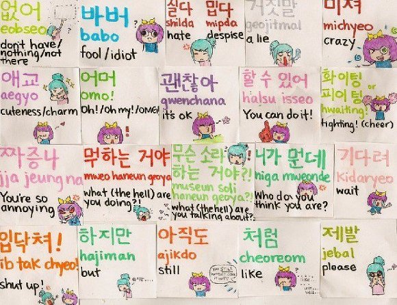 외국인들의 한국어 공부 | 인스티즈