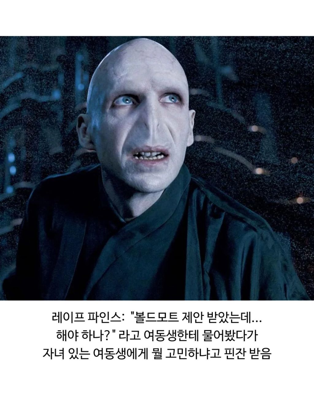 가족들에게 협박받고 출연했다는 해리포터 성인배우들 | 인스티즈