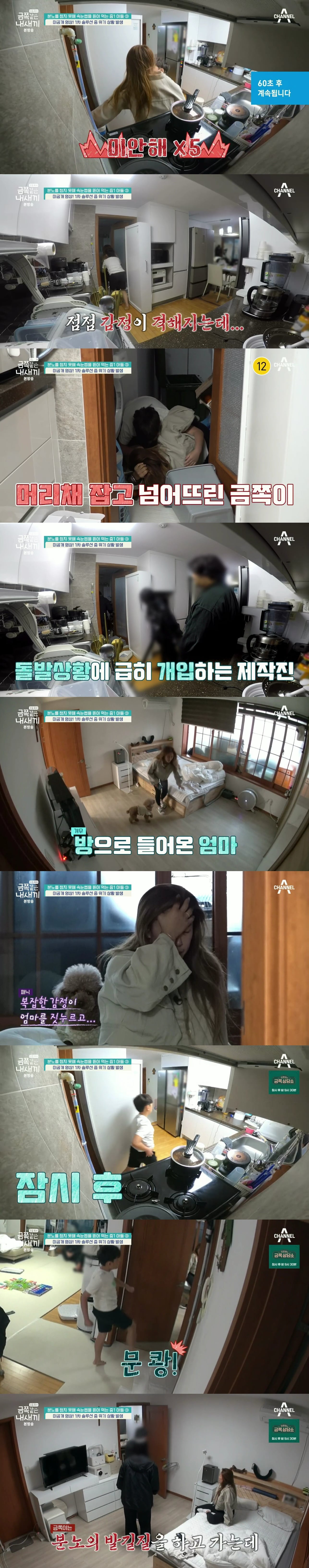 절대로 개선되지 못할거라는 반응 많았던 역대급 금쪽이의 놀라운 변화.jpg | 인스티즈