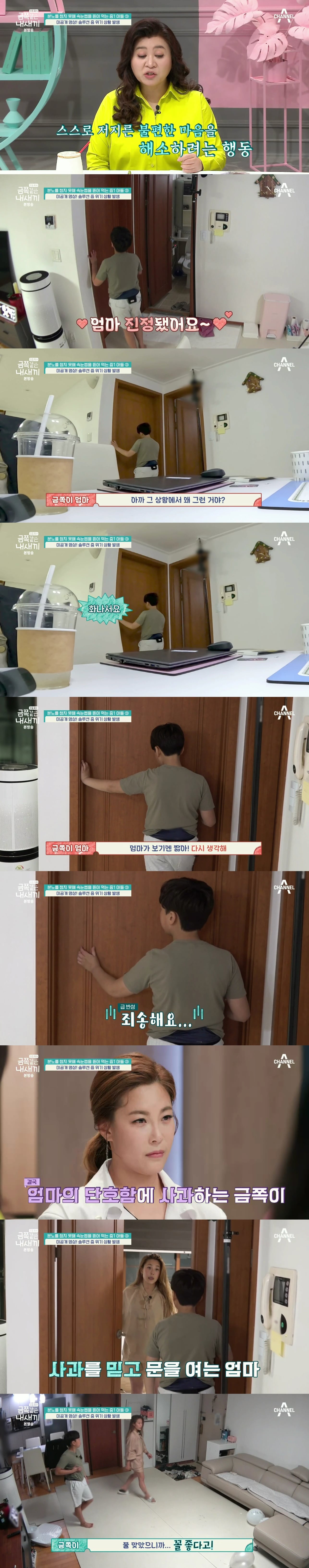 절대로 개선되지 못할거라는 반응 많았던 역대급 금쪽이의 놀라운 변화.jpg | 인스티즈